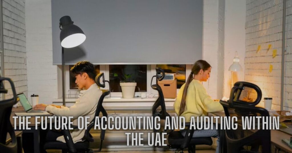 The Future of Accounting and Auditing Within the UAE