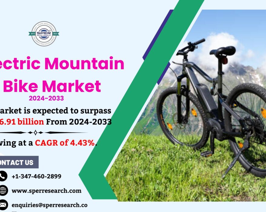 Electric Mountain Bike Market