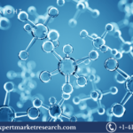 Magnetite Nanoparticles Market