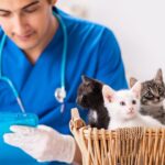 Spain Animal Healthcare Market