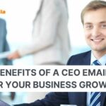 ceo mailing lists